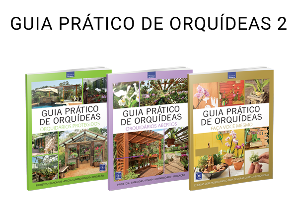 Guia Prático de Orquídeas - Segunda Tempor