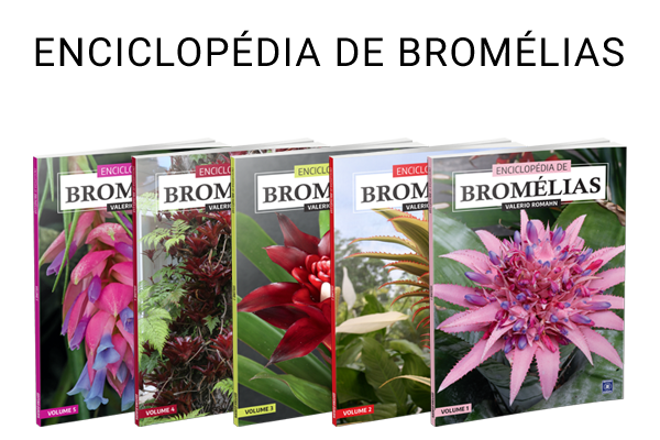 Enciclopédia de Bromélias