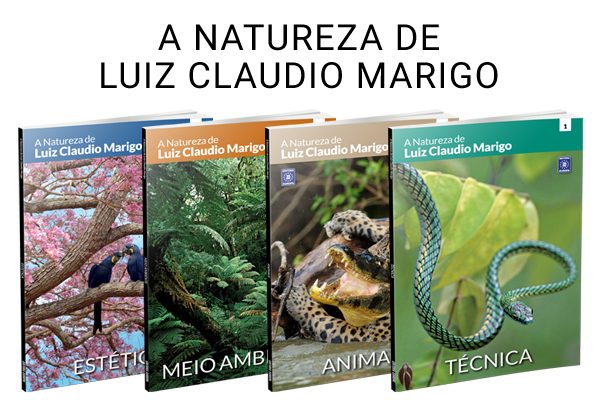 A Natureza de Luiz Claudio Marigo