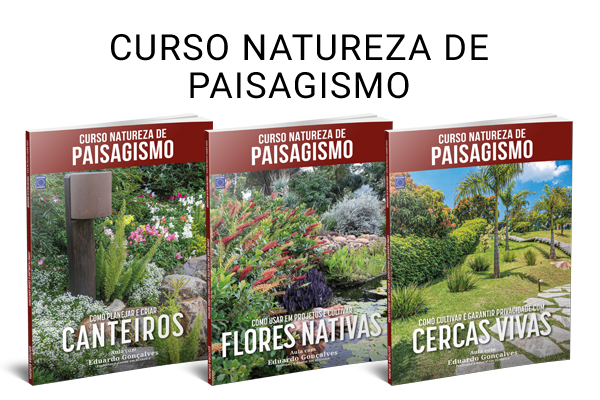 Curso Natureza de Paisagismo