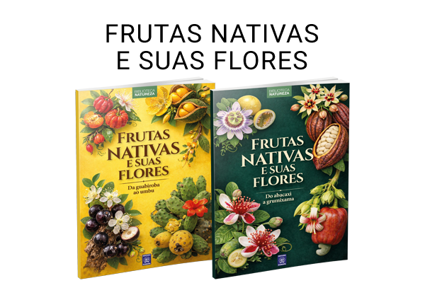 Frutas Nativas e Suas Flores