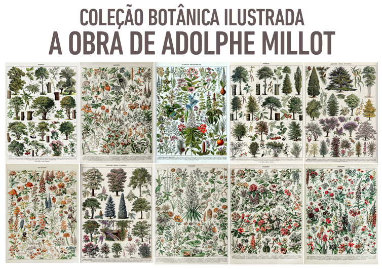 Coleção Grandes Talentos do Paisagismo