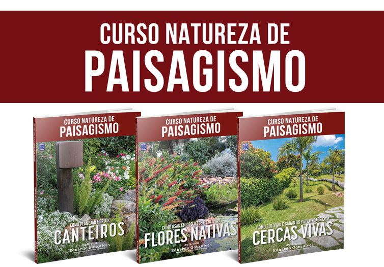 Curso Natureza de Paisagismo