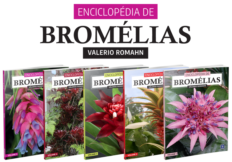 Enciclopédia de Bromélias
