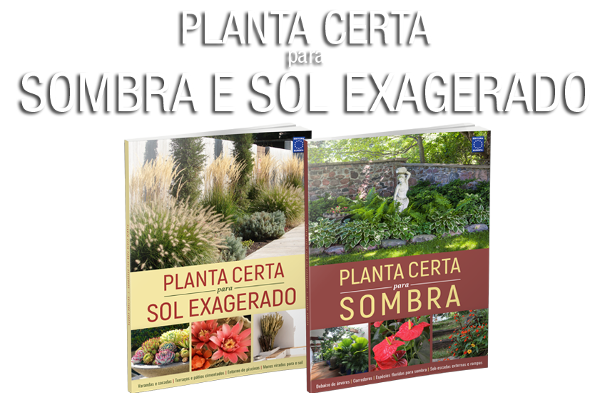 Coleção Planta Certa para Sombra e Sol Exagerado