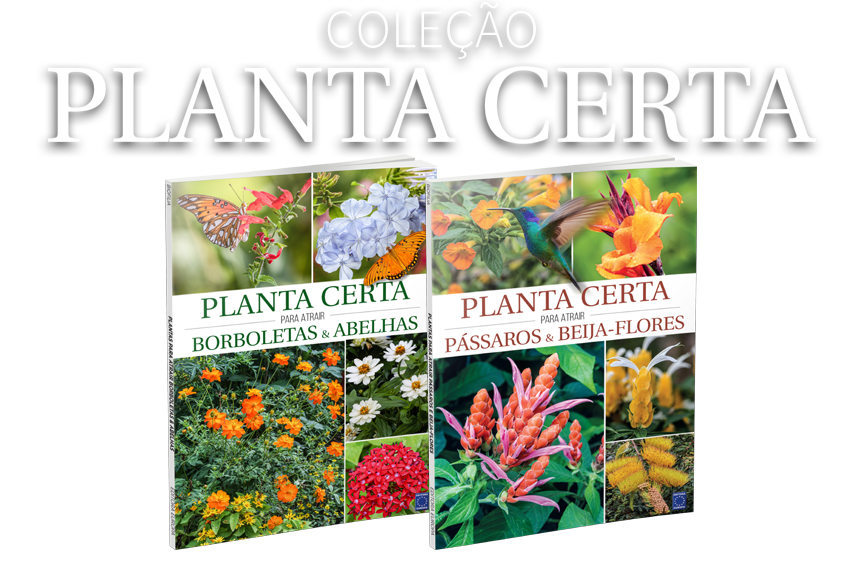 Coleção Planta Certa