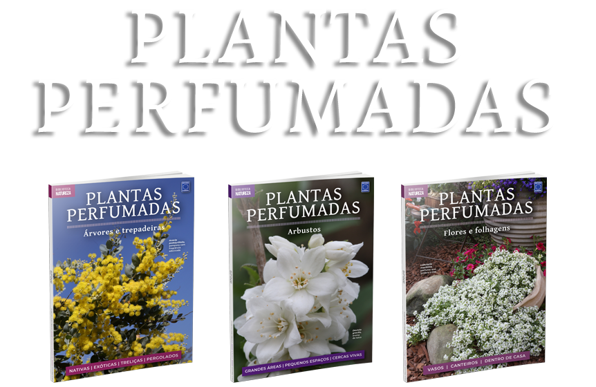 Coleção Plantas Perfumadas