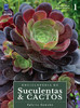 Enciclopédia de Suculentas & Cactos: Volume 1