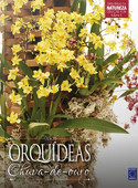 Coleção Rubi Volume 5 - Orquídeas Chuva-de-Ouro