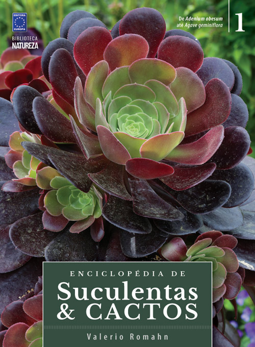 Enciclopédia de Suculentas & Cactos - Volume 1