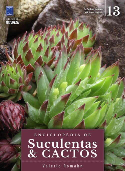Enciclopédia de Suculentas & Cactos - Volume 13