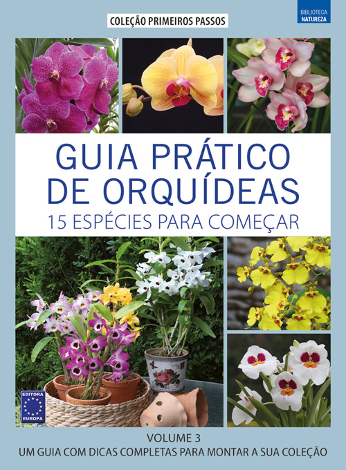 Guia Prático de Orquídeas: 15 Espécies Para Começar