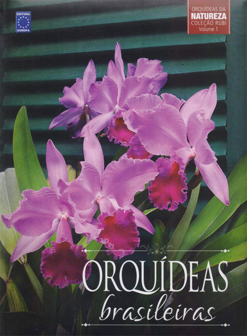 Coleção Rubi Volume 1 - Orquídeas Brasileiras