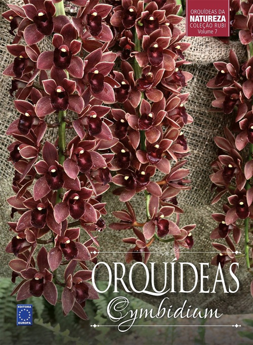 Coleção Rubi Volume 7 - Orquídeas Cymbidium