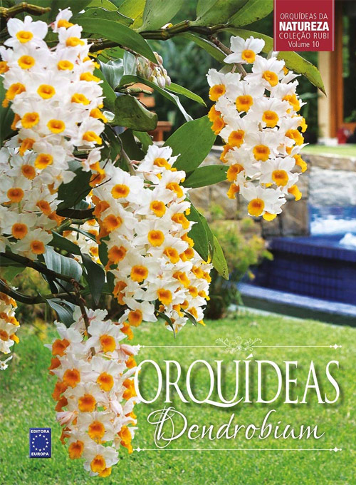 Coleção Rubi Volume 10 - Orquídeas Dendrobium