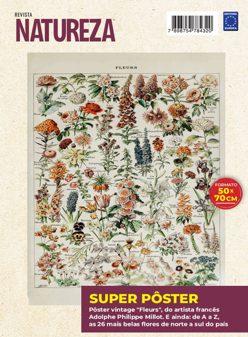 Posterzine Natureza Vintage - Adolphe Philippe Millot: Fleurs