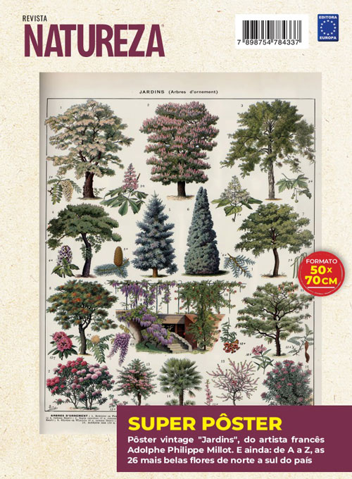 Posterzine Natureza Vintage - Adolphe Philippe Millot: Jardins