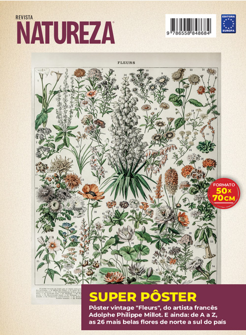 Posterzine Natureza Vintage - Adolphe Philippe Millot: Fleurs 2 (Sem dobras)