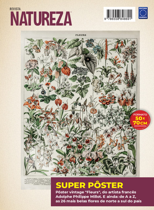 Posterzine Natureza Vintage - Adolphe Philippe Millot: Fleurs 3 (Sem dobras)