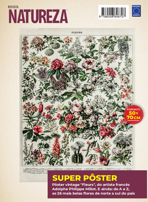 Posterzine Natureza Vintage - Adolphe Philippe Millot: Fleurs 4 (Sem dobras)