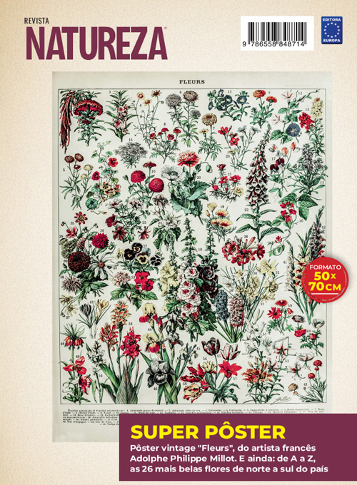 Posterzine Natureza Vintage - Adolphe Philippe Millot: Fleurs 5 (Sem dobras)