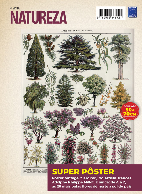 Posterzine Natureza Vintage - Adolphe Philippe Millot: Jardins 2 (Sem dobras)