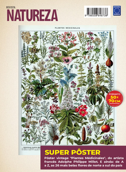 Posterzine Natureza Vintage - Adolphe Philippe Millot: Plantas Medicinais (Sem dobras)