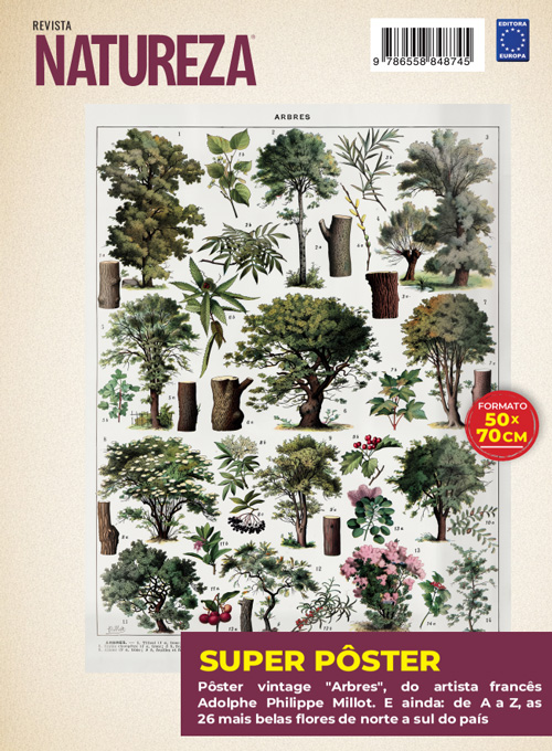 Posterzine Natureza Vintage - Adolphe Philippe Millot: Arbres 1 (Sem dobras)