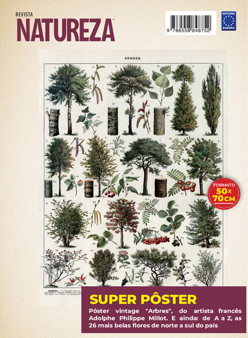 Posterzine Natureza Vintage - Adolphe Philippe Millot: Arbres 2 (Sem dobras)