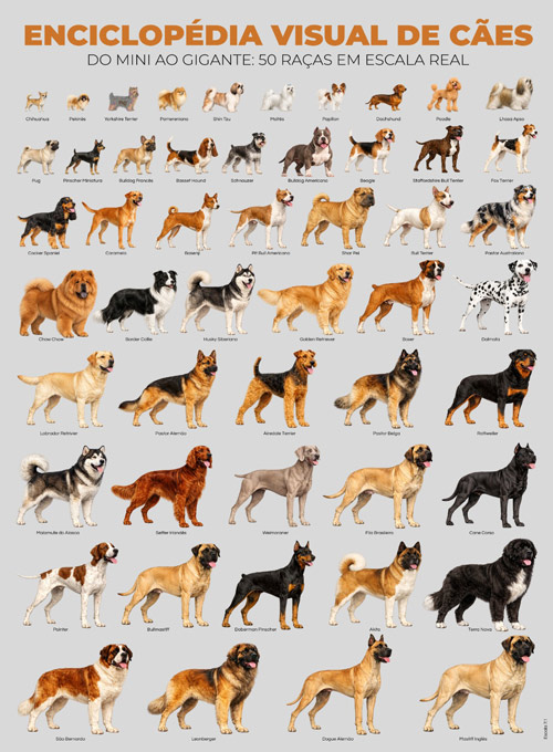 SuperSapiens Posterzine - Enciclopédia Visual de Cães (Sem dobras)