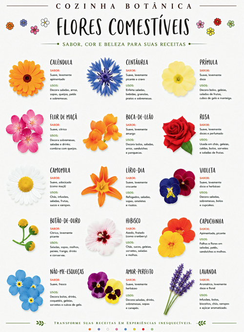 SuperSapiens Pôster - Cozinha Botânica: Flores Comestíveis (Sem dobras)