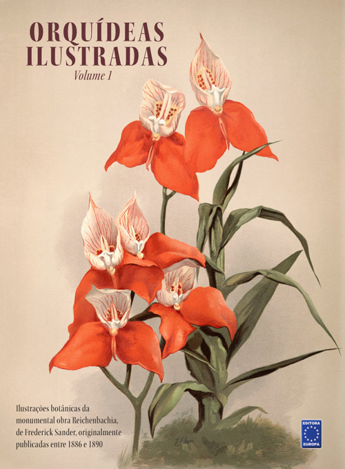 Orquídeas Ilustradas - Volume 1
