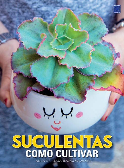 Suculentas - Como Cultivar