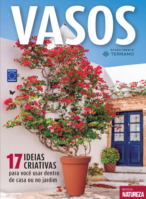 Vasos - 17 Ideias Criativas