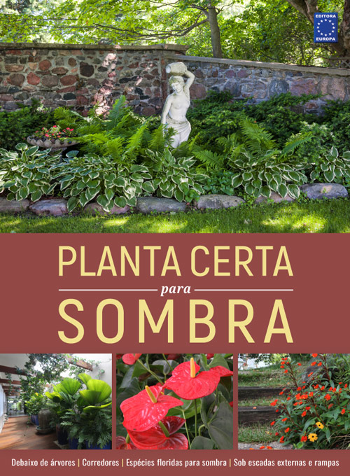 Planta Certa para Sombra