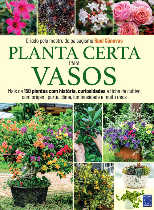 Planta Certa para Vasos