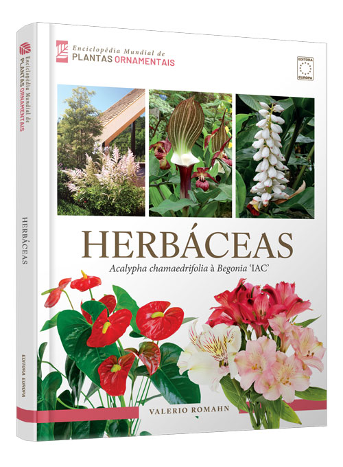 Enciclopédia Mundial de Plantas Ornamentais - Herbáceas: Acalypha chamaedrifolia à Begonia
