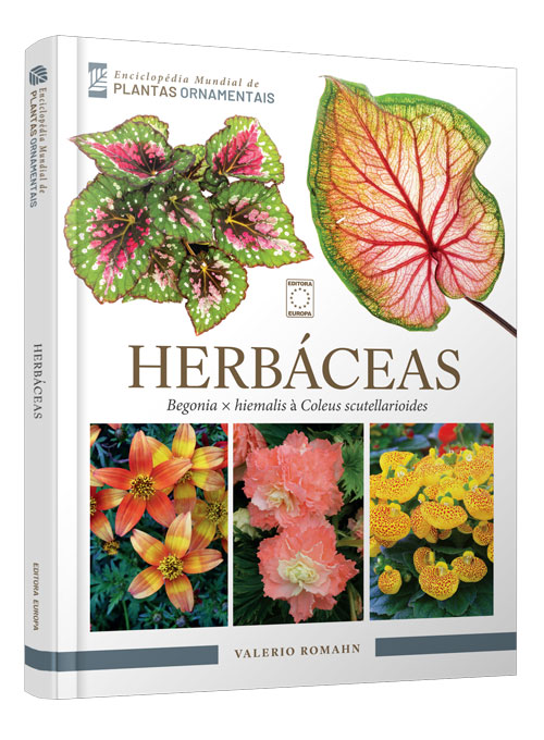 Enciclopédia Mundial de Plantas Ornamentais - Herbáceas: Herbáceas - Begonia × hiemalis