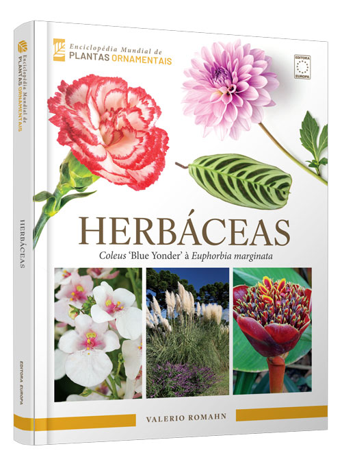 Enciclopédia Mundial de Plantas Ornamentais - Herbáceas: Coleus Blue Yonder à Euphorbia