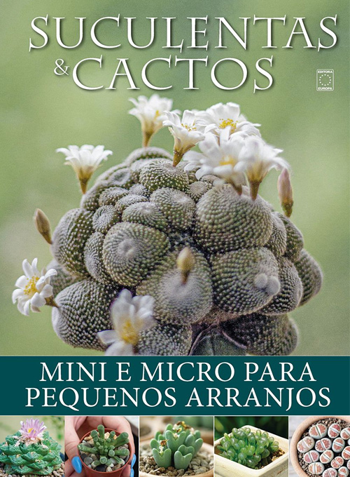 Coleção Suculentas e Cactos da Natureza: Mini e Micro para Pequenos Arranjos