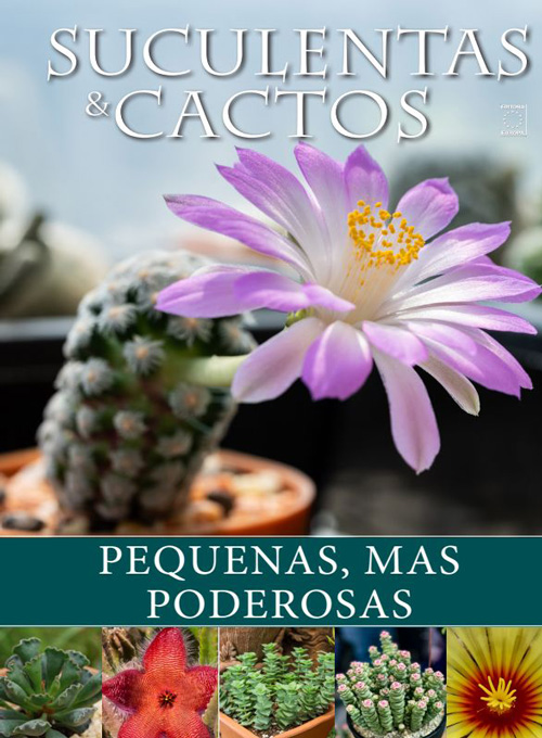 Coleção Suculentas e Cactos da Natureza: Pequenas, mas Poderosas