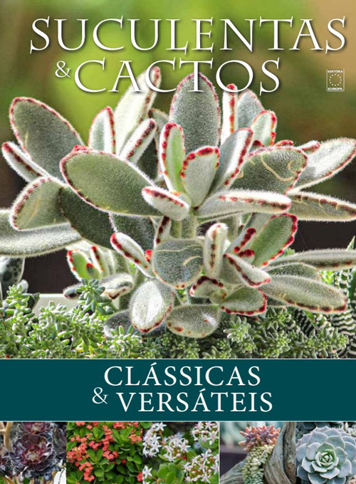 Coleção Suculentas e Cactos da Natureza: Clássicas e Versáteis