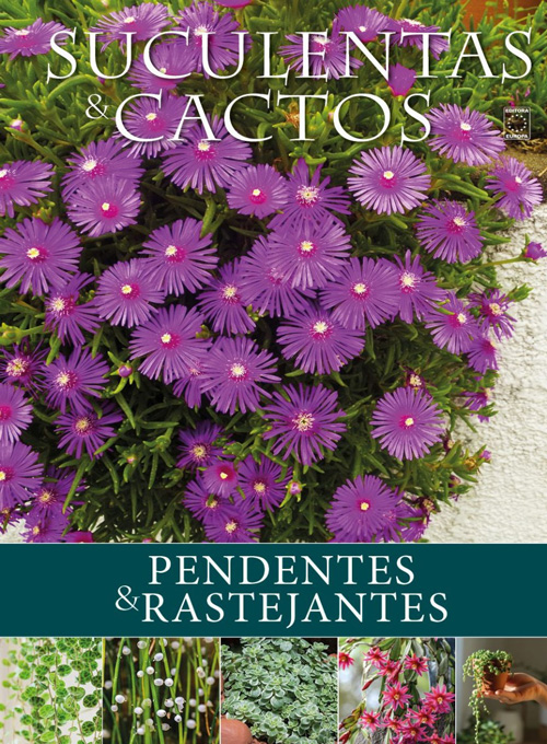 Coleção Suculentas e Cactos da Natureza: Pendentes e Rastejantes
