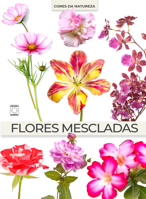 Coleção Cores da Natureza - Flores Mescladas