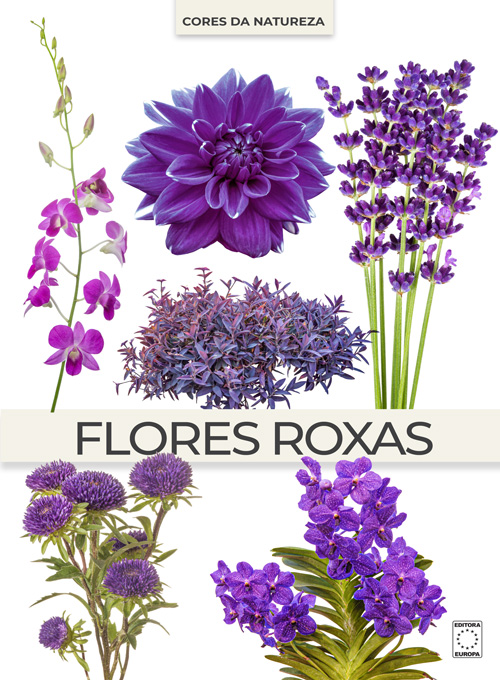 Coleção Cores da Natureza - Flores Roxas