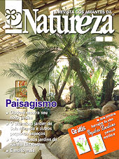 Revista Natureza - Edição 145