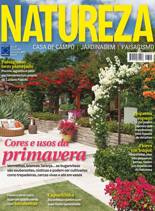 Revista Natureza - Edição 310