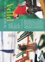 Viaje Mais em PDF - Praia da Pipa