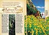Viaje Mais em PDF - Robinson