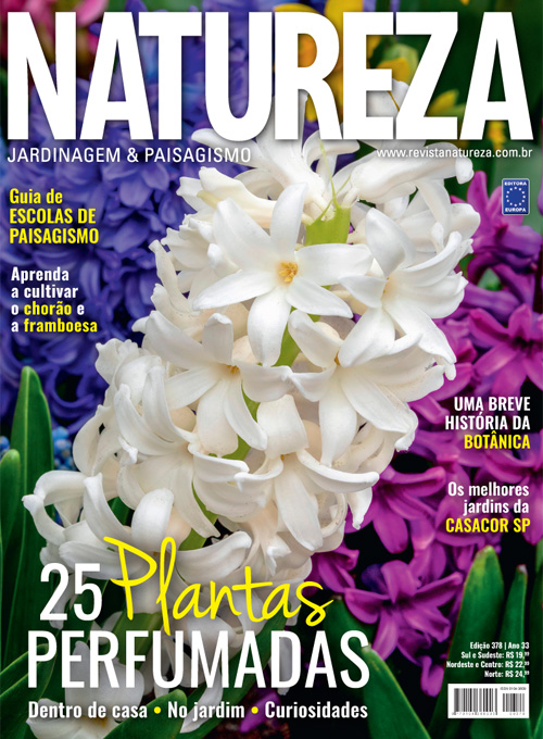 Revista Natureza - Edição 378